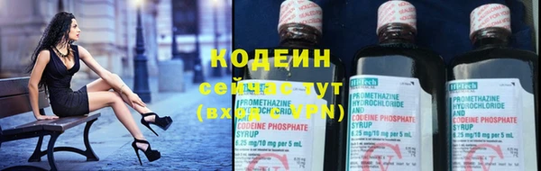 хмурый Козловка