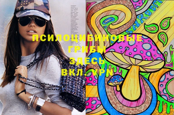 ешки Коряжма