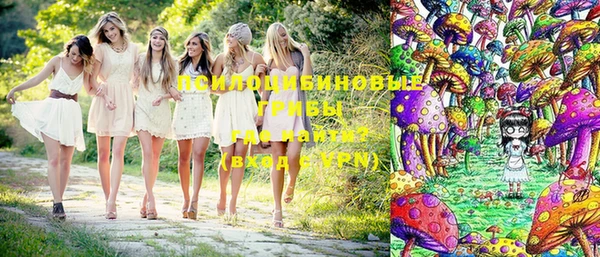 мдпв Корсаков