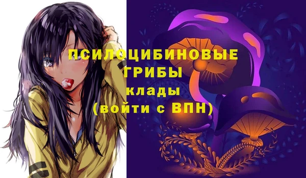 мдпв Корсаков