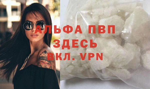 мдпв Корсаков