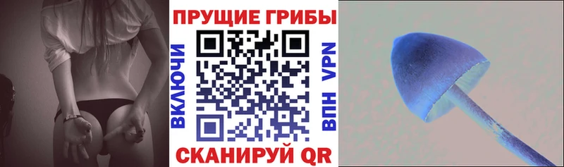 Псилоцибиновые грибы ЛСД Называевск