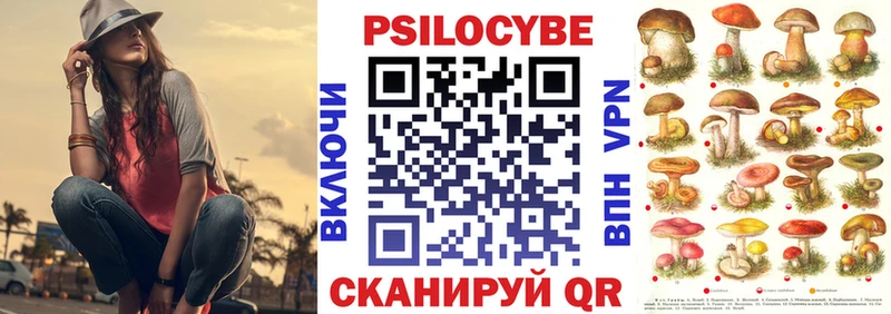 Галлюциногенные грибы Cubensis продажа наркотиков Называевск